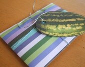 SALE SALE SALE Vegetable Garden Gift Seed Pack Organically Home Grown Gardener Variety Packet
