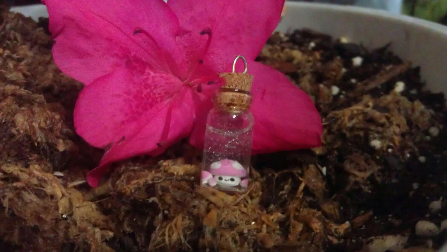 Miniature Mushroom Vial Necklace--Ready to Ship