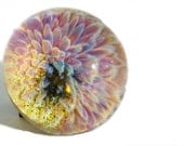 Pink Sunburst Glass Paperweight, PW27 by Wendy Williams