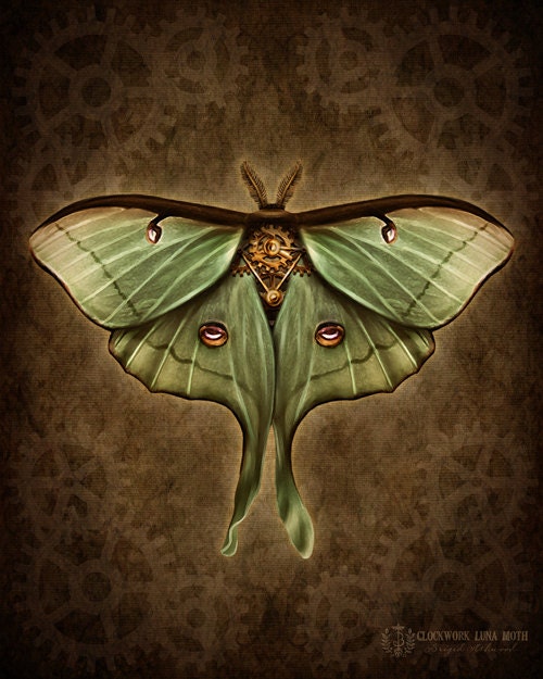 Steampunk Luna Moth - Art Print - Brigid Ashwood
