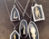 Taxidermy Mouse Paw Curio Necklace