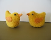 Baby Chicks for Spring Time