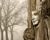 earth tone fairytale forest art, tree bark, woodland - Tree Spirit 8 x 10