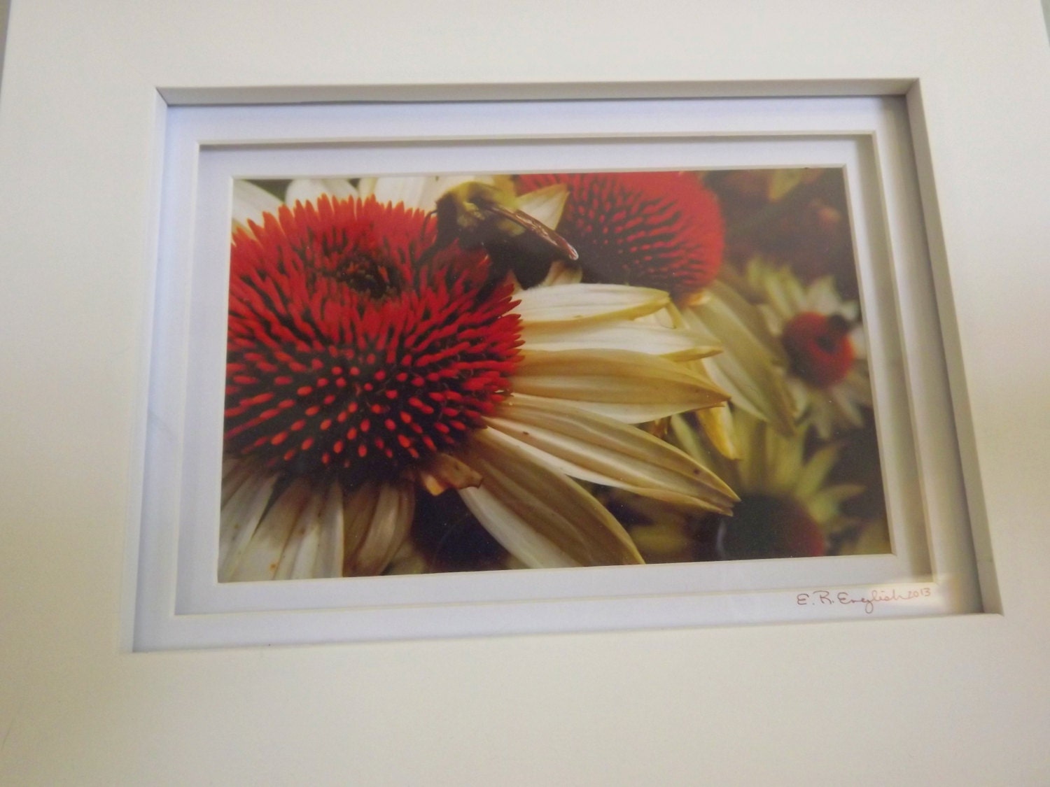 Photography Wall Art, Nature Print Home Decor, Daisy Flower and Bumble Bee Photo, Framed Matted 5X7 Fine Art Print