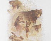 family of wild brown bear picture print // 10 x 12 // woodland baby nursery