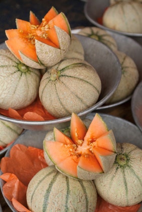 Heirloom Honey Rock Cantaloupe Melon Seeds