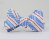 Blue and Red Stripe Bow Tie
