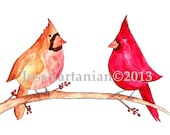 Love Bird Cardinals Watercolor & Ink Illustration  8x11 inches
