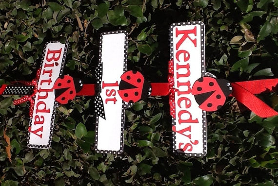 Lady Bug Party Sign