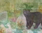 Black Bear and Ghost Etching Monoprint