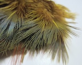 Ringneck pheasant rump feathers yellow RPRD-02 craft feathers,fasinators,