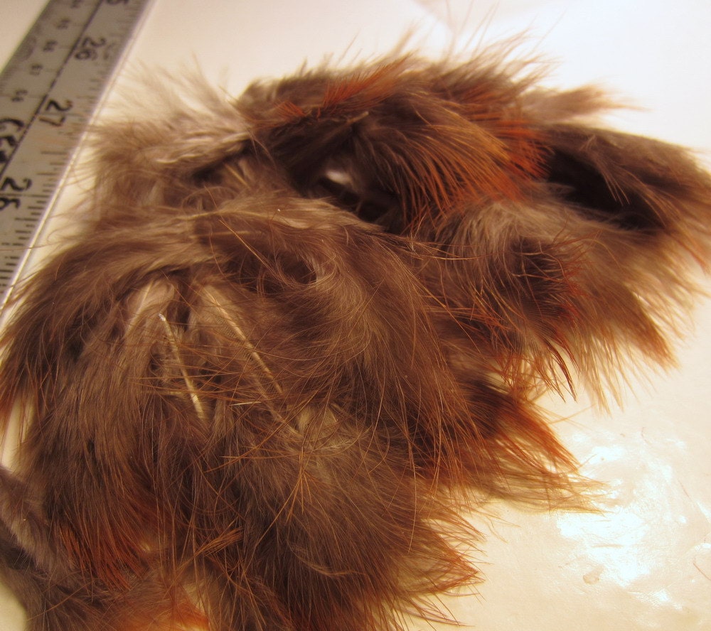 Golden Pheasant Marabou Feathers GP-1 Craft feathers