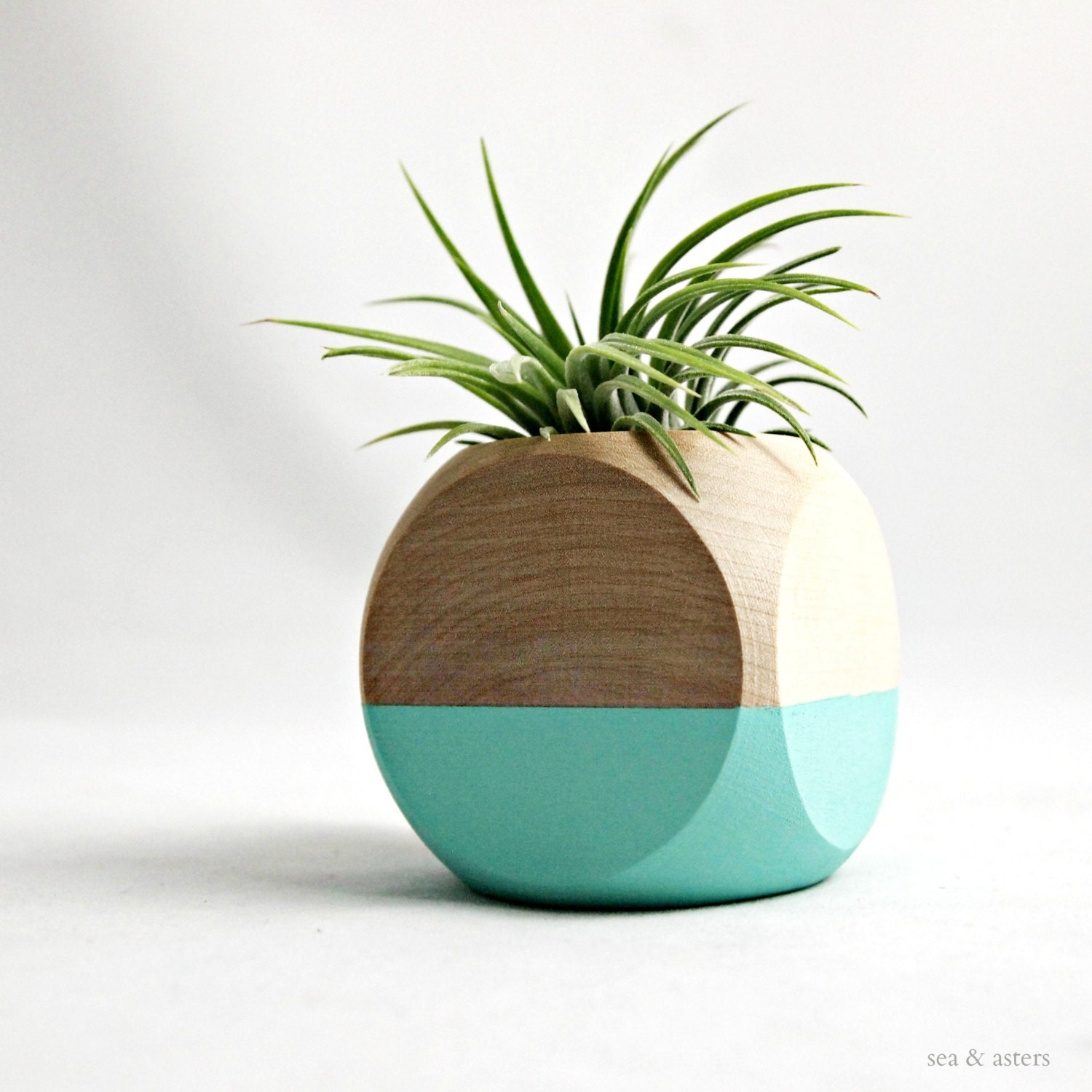 Air Plant Cube Planter // Aqua - Natural Wood Colorblock // Home and Garden