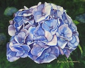 Blue Hydrangea Flower, Canvas Giclee Painting Art Print, 16x20 Reproduction of Original Watercolor, Barbara Rosenzweig, Etsy