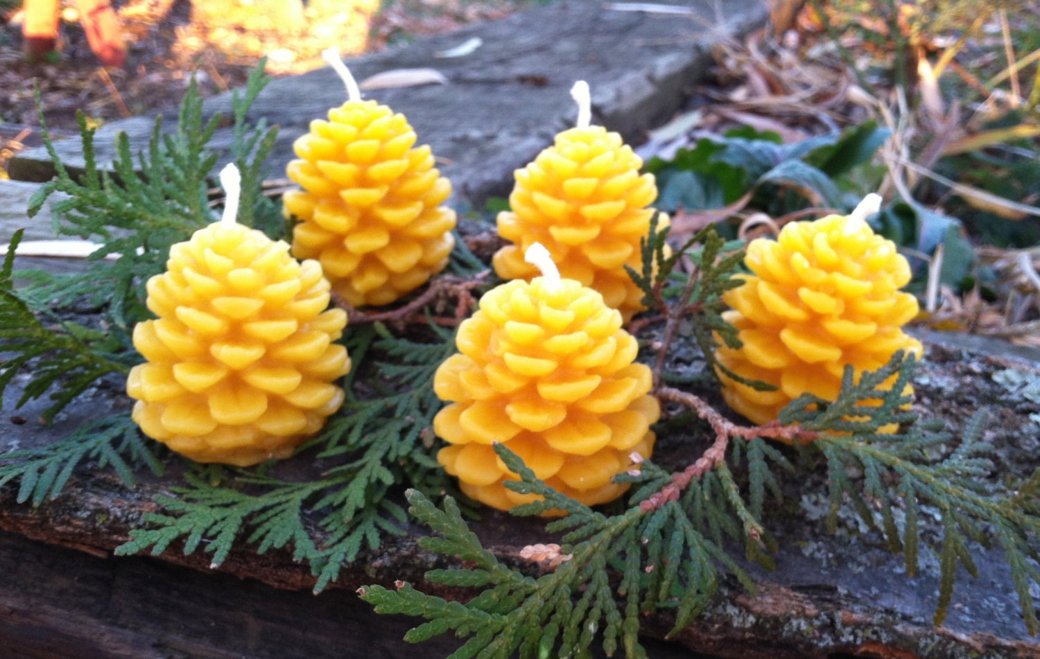 Beeswax Candles - Set of 5 Pinecones, 1.5" wide