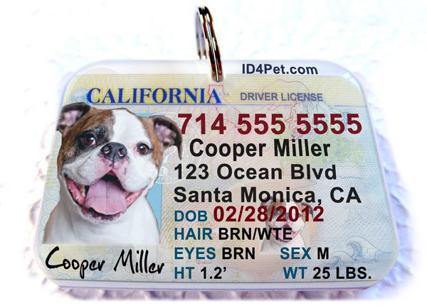 New California Driver License Dog Driver License Cat Driver License by ID4Pet