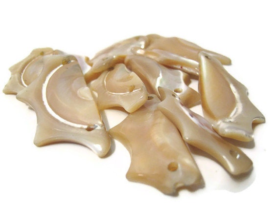 Jewelry Making or Craft Shell Links 11 Pcs