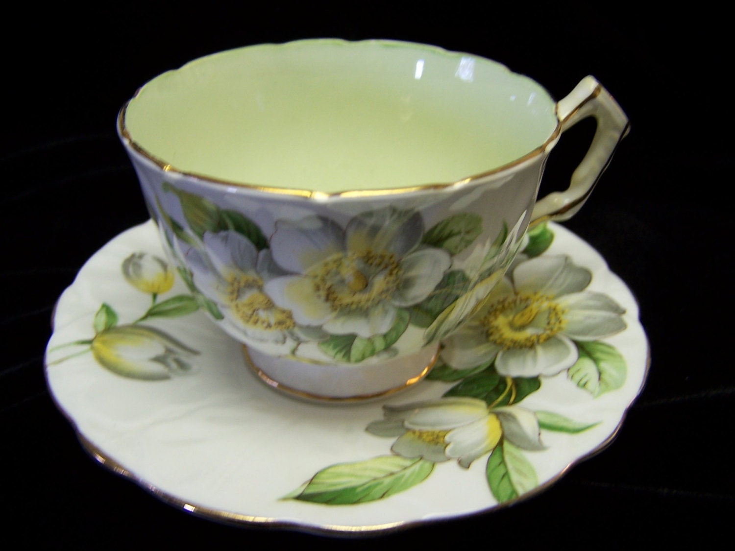 Beautuful Aynsley Magnolia Bone China Cup and Saucer