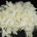 Norwegian viking sheep fleece, natural white, fiber for spinning and felting, 4.4 oz