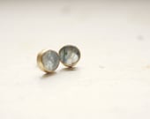 Brazilian Kyanite Dime Earrings
