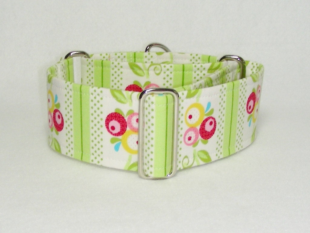 2 Inch Martingale, Greyhound Collar, Floral Stripe