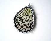 Real Butterfly Wing Jewelry, Rice Paper Kite Butterfly, Idea leuconoe