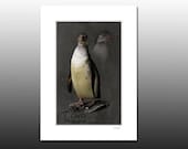 Penguin Matted Print, childrens room wall art, fits 5x7 inch frame