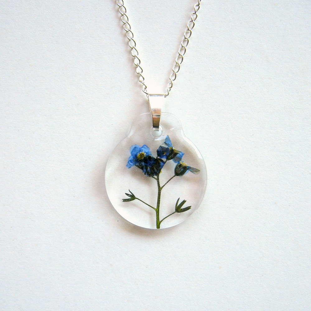 Forget Me Not - Pressed flower, myosotis, Victoria Blue, natural, spring, wedding, something blue, ooak