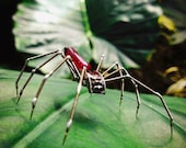 Mechanical Spider Sculpture No 19 Recycled Watch Parts Clockwork Arachnid Bug Insect Figurine Stems Lightbulb Arthropod A Mechanical Mind
