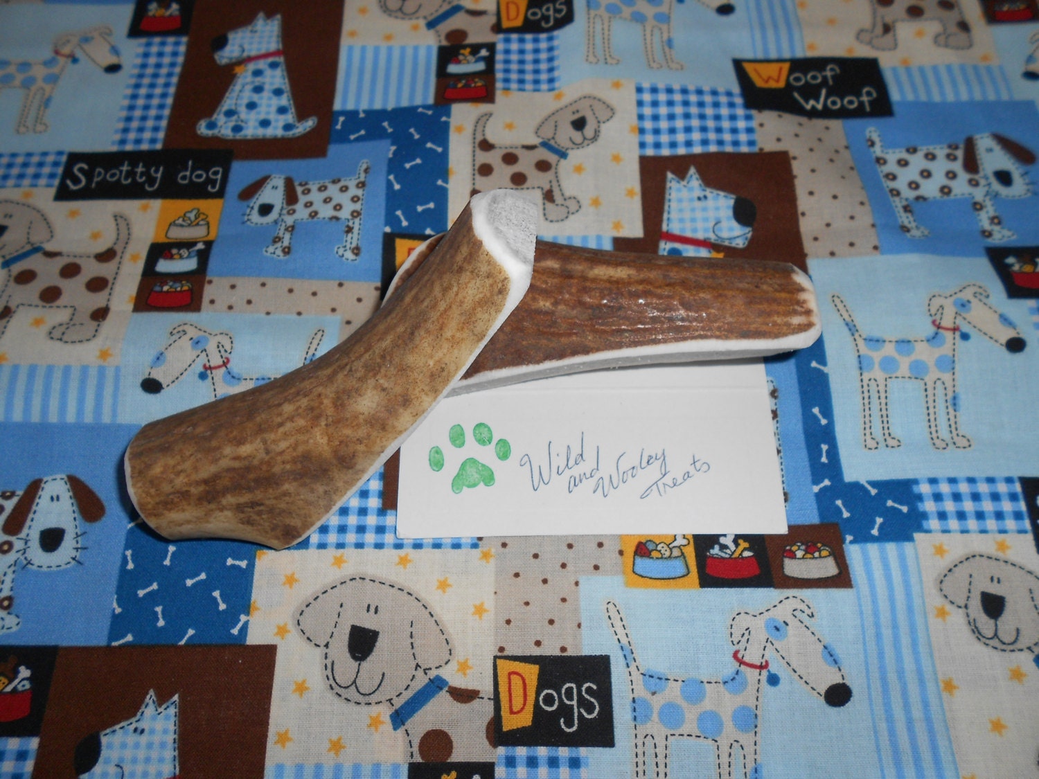 Medium Elk Antler Dog Chew Split (Lot 1321)