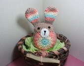 Amigurumi crochet bunny, Bunny Rabbit,  childs toy, baby shower gift, healthy gift, handmade