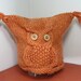 Childs knit owl hat-owls-cable foxy owl hat- toddler owl hat-girls or boys owl hat-pumpkin-wool and acrylic yarn-Ready to Ship