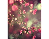 Spring Photography. Floral photo. Flowers. Blossoms. Pink. purple. green. girly. home decor
