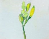 flower still life - "Daylily 1"