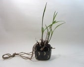 Hanging little cactus planter, black with raw unglazed crescent moons