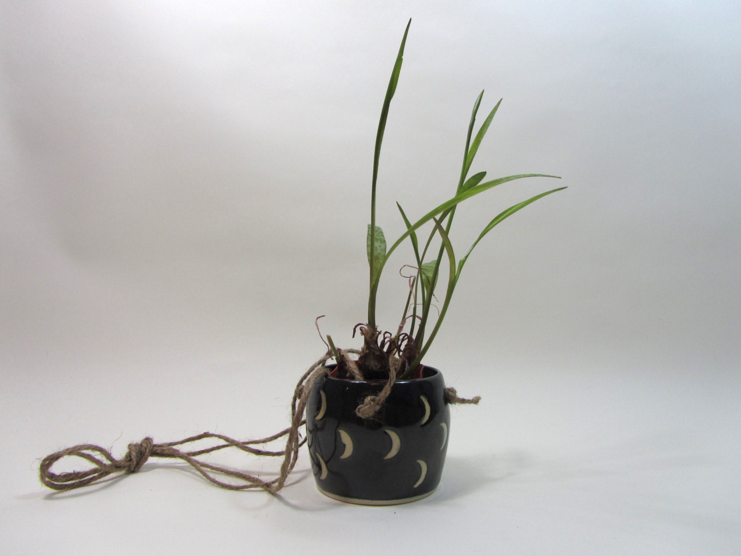 Hanging little cactus planter, black with raw unglazed crescent moons