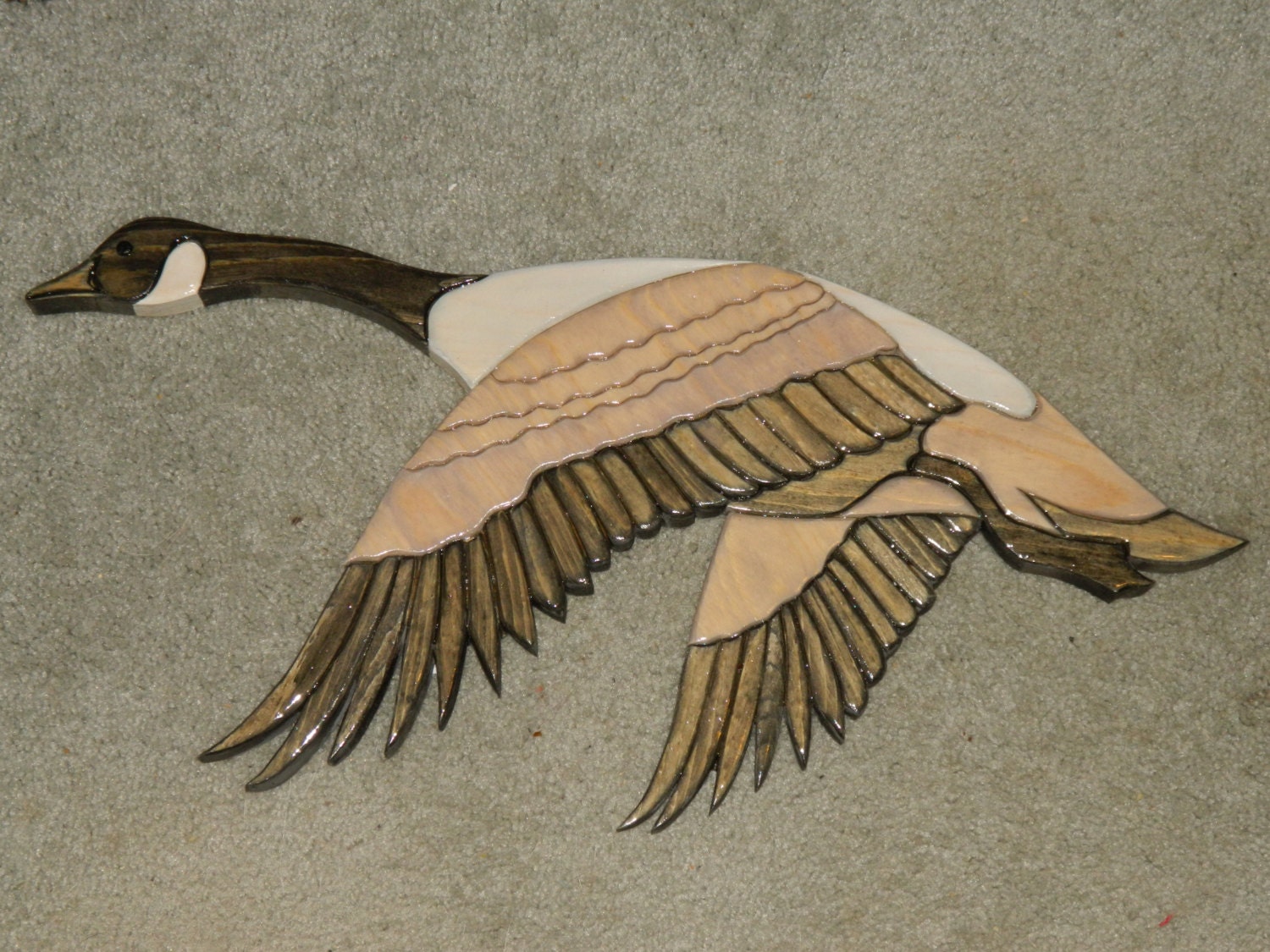 Canada Goose