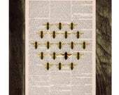 Queen bee in a  honeycomb cell illution  Print on Dictionary Book page - Butterfly Art on Upcycled Dictionary Book - Wall Art Home Decor