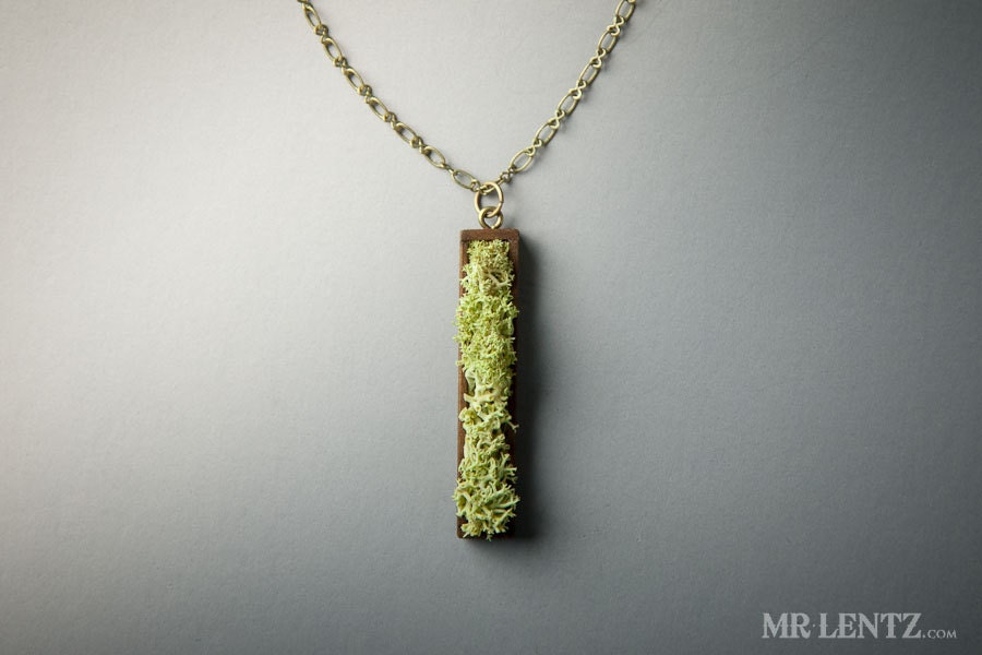 Moss Necklace With Wood 003