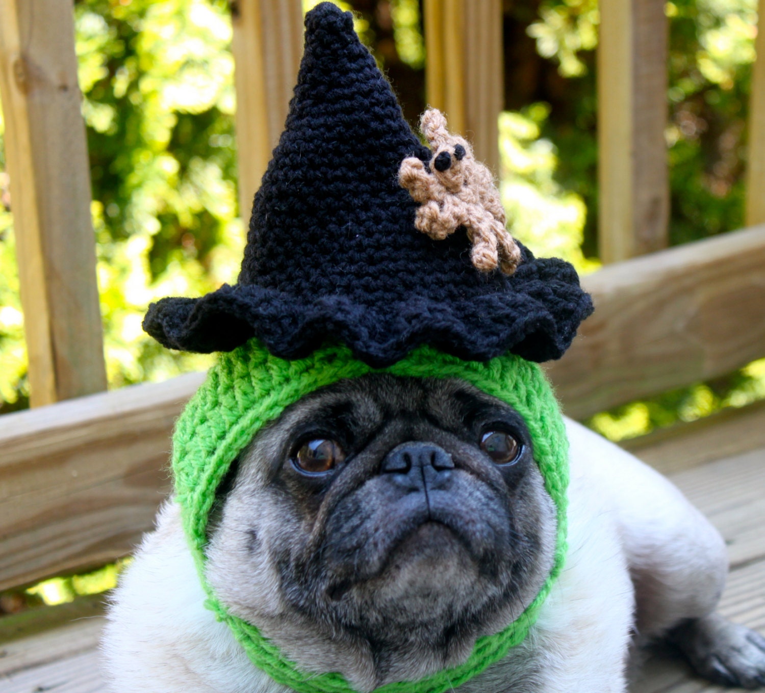 Spooky Witch Hat with Creepy Spider - Dog Hat - Made To Order
