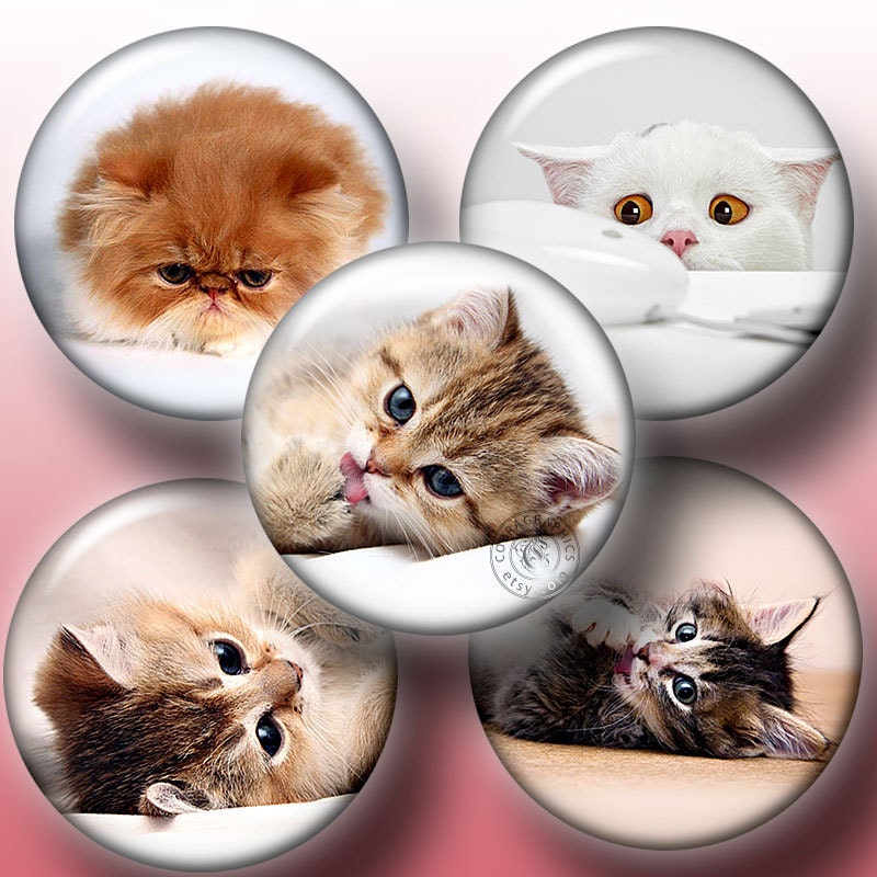 Cute Cats - Digital Collage Sheet CG-651C - 1.5 inch (or smaller) circles - for Scrapbooking, Resin Pendants, Bottle Caps