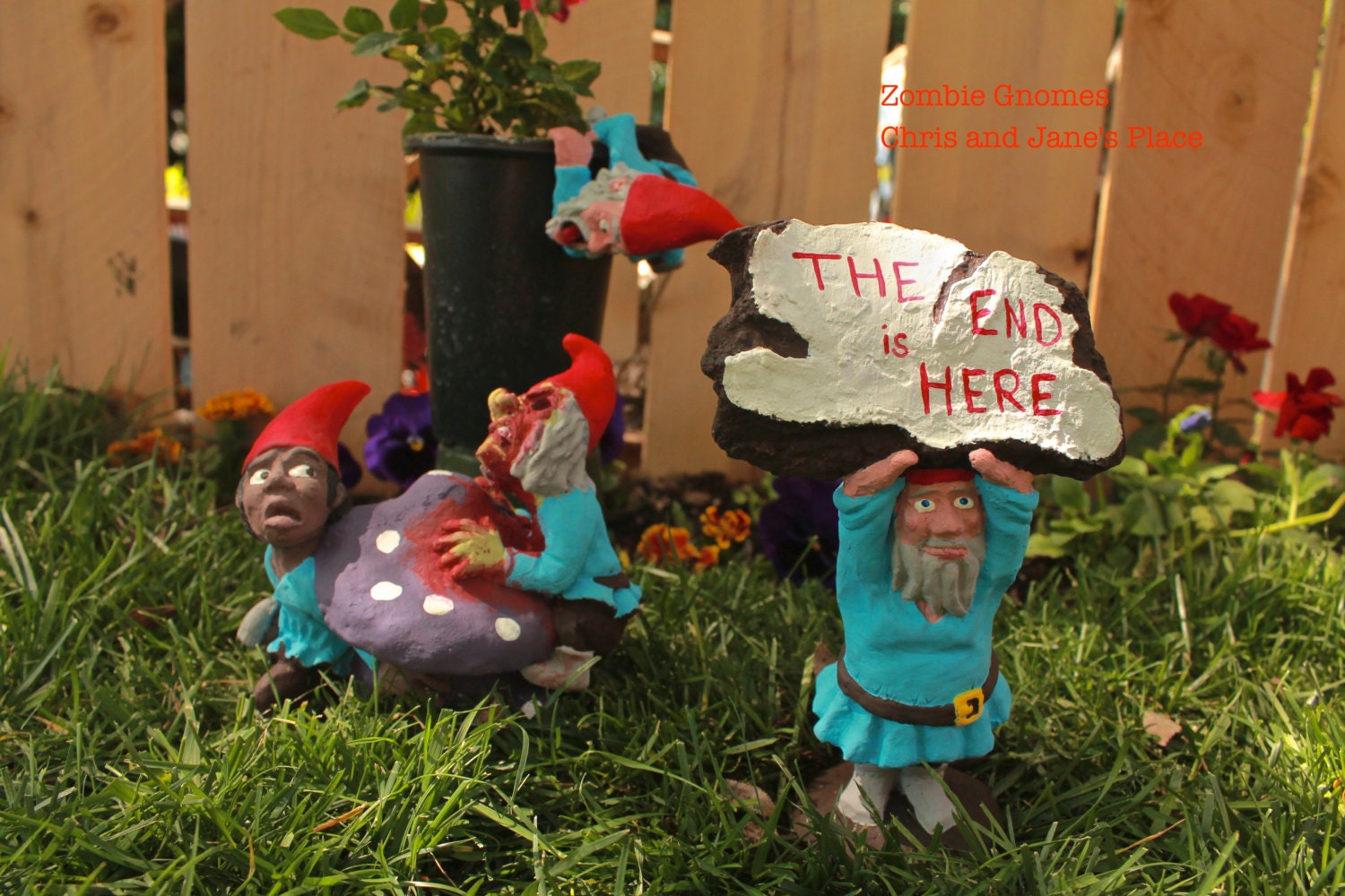 Zombie Gnomes: The Series of Survivors FREE USA SHIPPING
