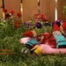 Zombie Gnomes: Bye Bye Birdie  FREE SHIPPING
