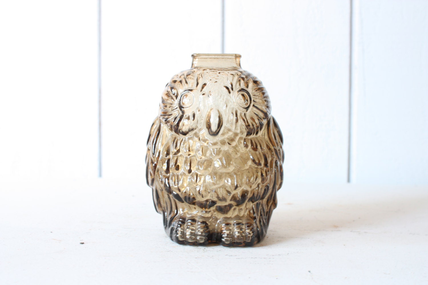 Glass Owl Bank // Wise Old Owl