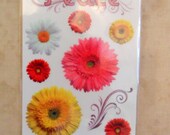 Daisy Peace Glitter Rub-on Transfers by Paper House-SALE