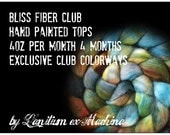 BLISS Fiber Club 4 Months 4oz hand painted top merino silk alpaca bfl llama polwarth cashmere nylon