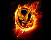 Sale, 6 Month Hunger Games Inspired Sock Yarn Club, Coupon Code: VALENTINE For 15% off