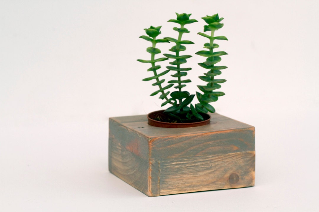 Gray Succulent planter, wooden succulent container industrial reclaimed rustic wedding decoration