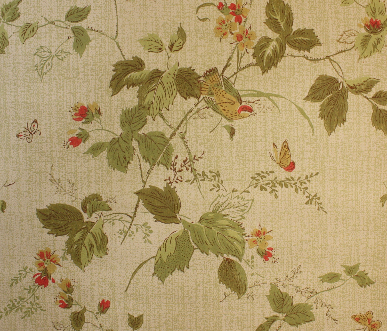 1970's Vintage Wallpaper Birds and Butterflies