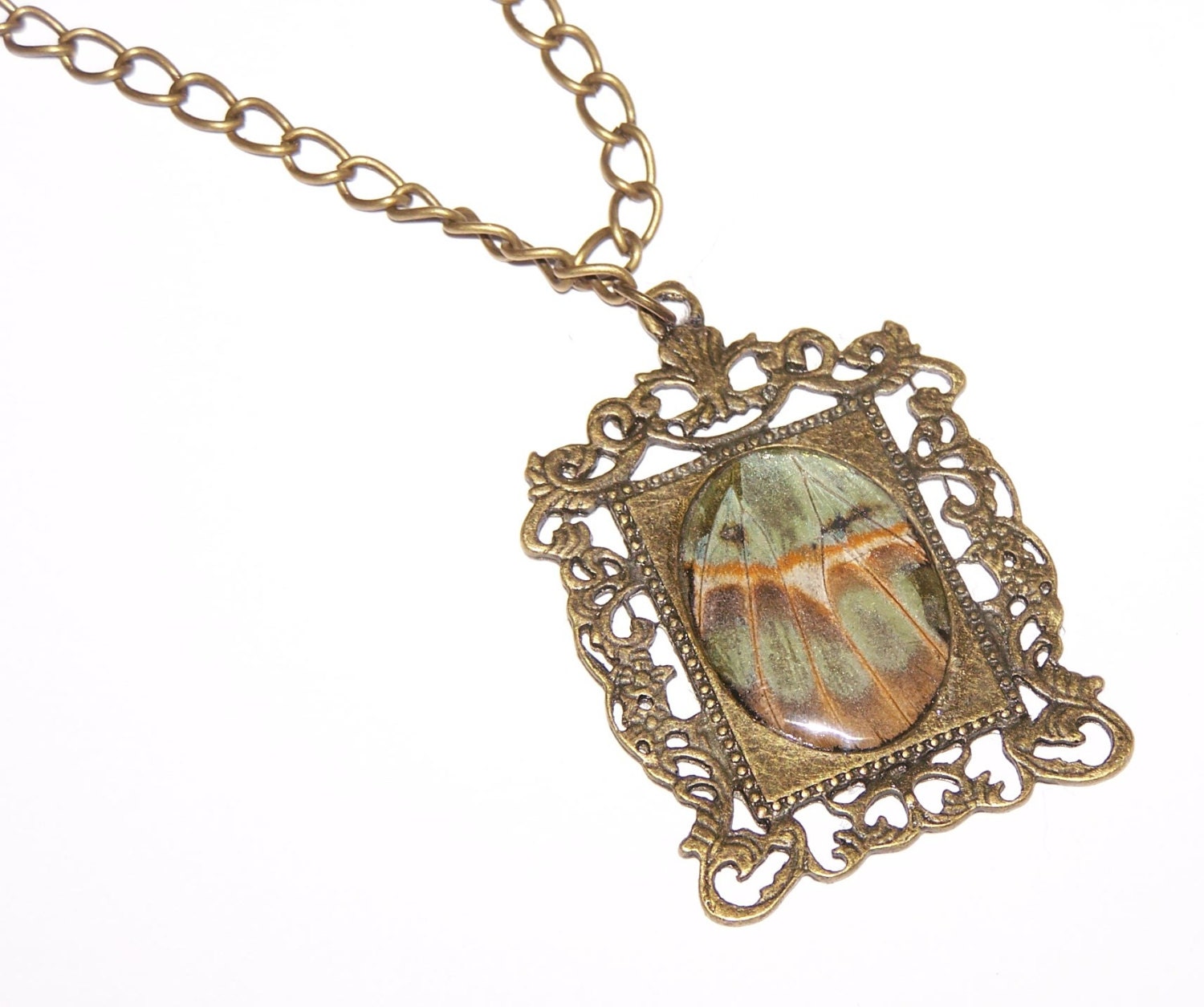 REAL BUTTERFLY wing necklace